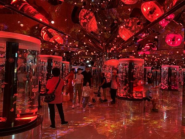 [ 桃園水族館 ] Xpark/企鵝隧道/巨型透明觀景窗/水母水晶球/觀賞企鵝咖啡廳