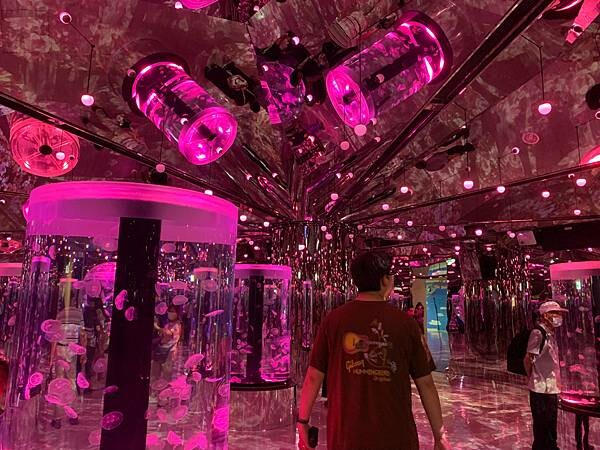 [ 桃園水族館 ] Xpark/企鵝隧道/巨型透明觀景窗/水母水晶球/觀賞企鵝咖啡廳