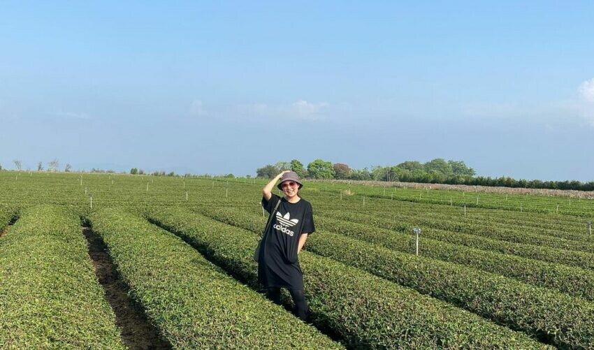 彰化登山步道 十八彎步道