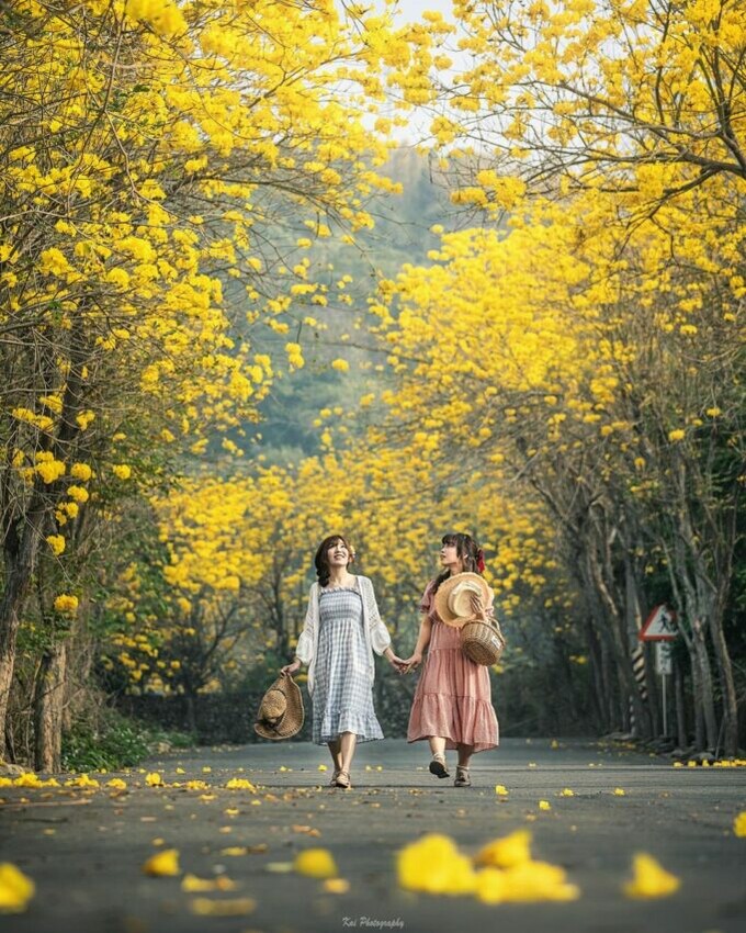 彰化登山步道 坑內坑步道