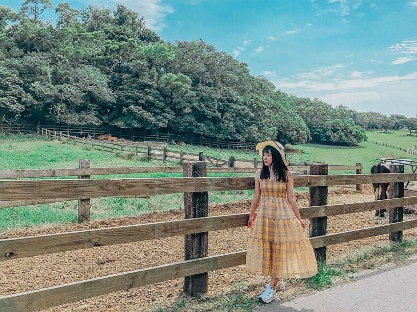 苗栗通霄飛牛牧場