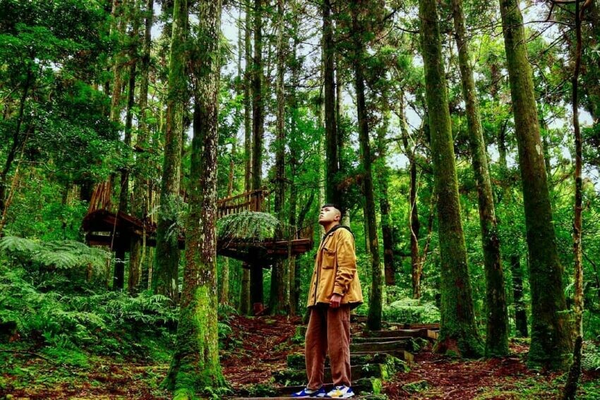 東眼山國家公園