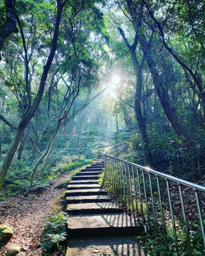 彰化登山步道 田中森林公園步道