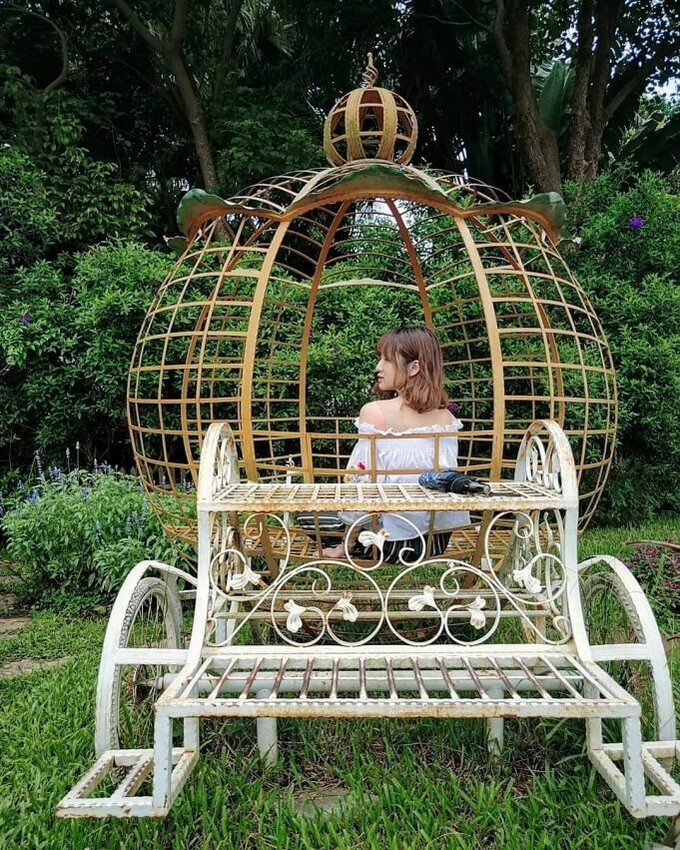 苗栗花露農場-草原上的馬車