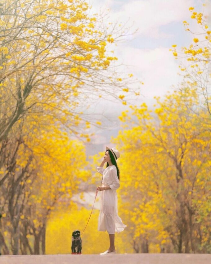 彰化登山步道 坑內坑步道