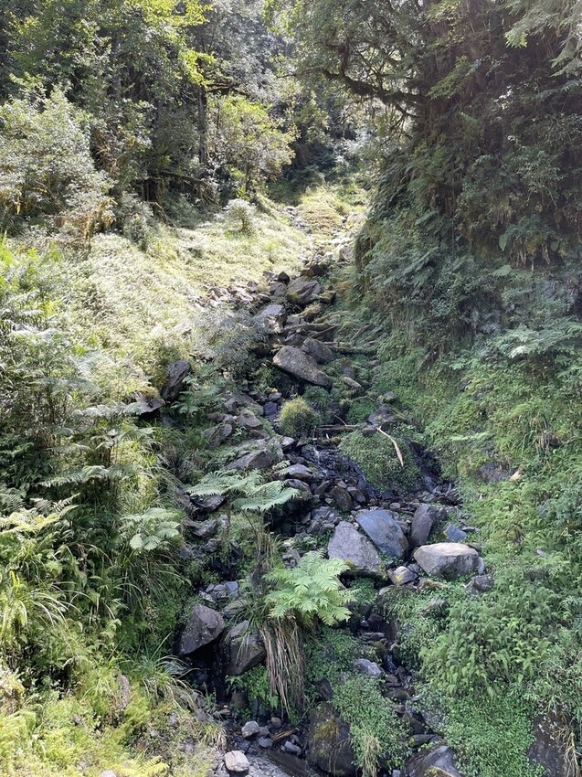 IMG_0738.jpg IMG_0738.jpg