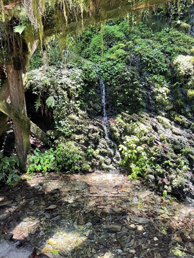 IMG_0704.jpg IMG_0704.jpg