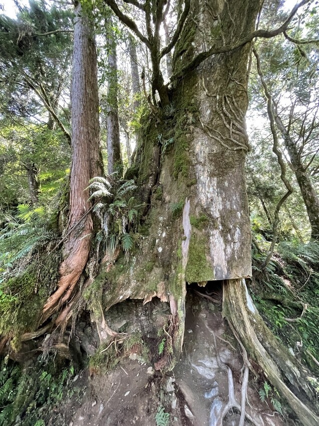 IMG_0714.jpg IMG_0714.jpg