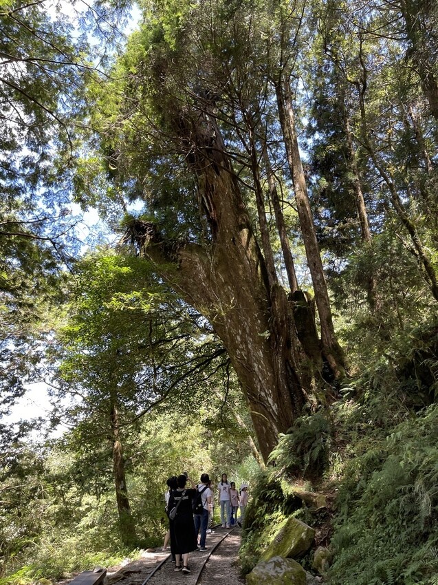 IMG_0784.jpg IMG_0784.jpg