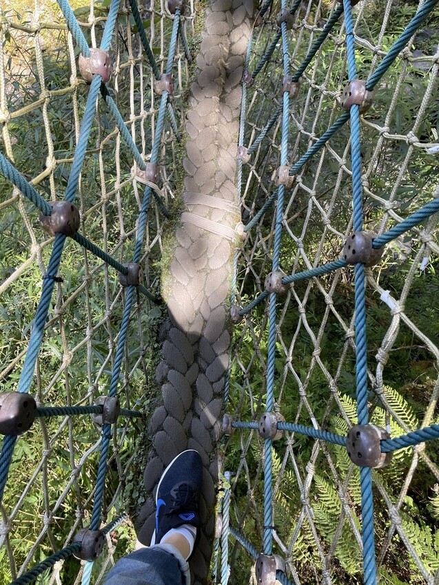 IMG_0774.jpg IMG_0774.jpg