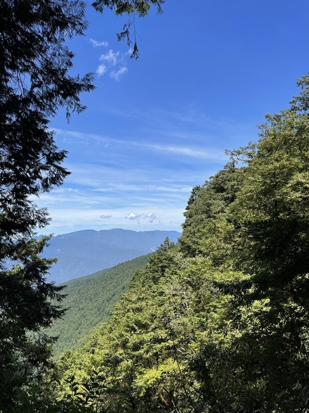 IMG_0732.jpg IMG_0732.jpg