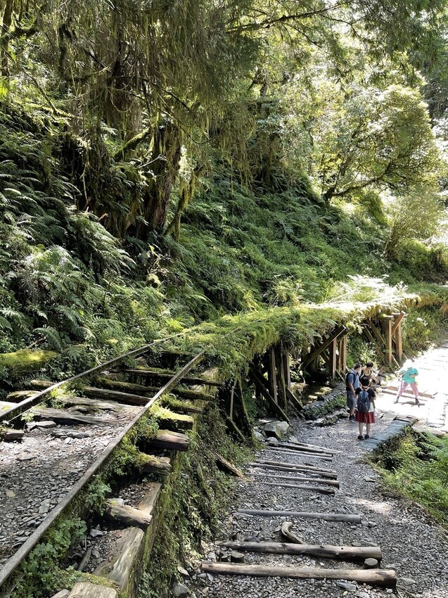 IMG_0703.jpg IMG_0703.jpg