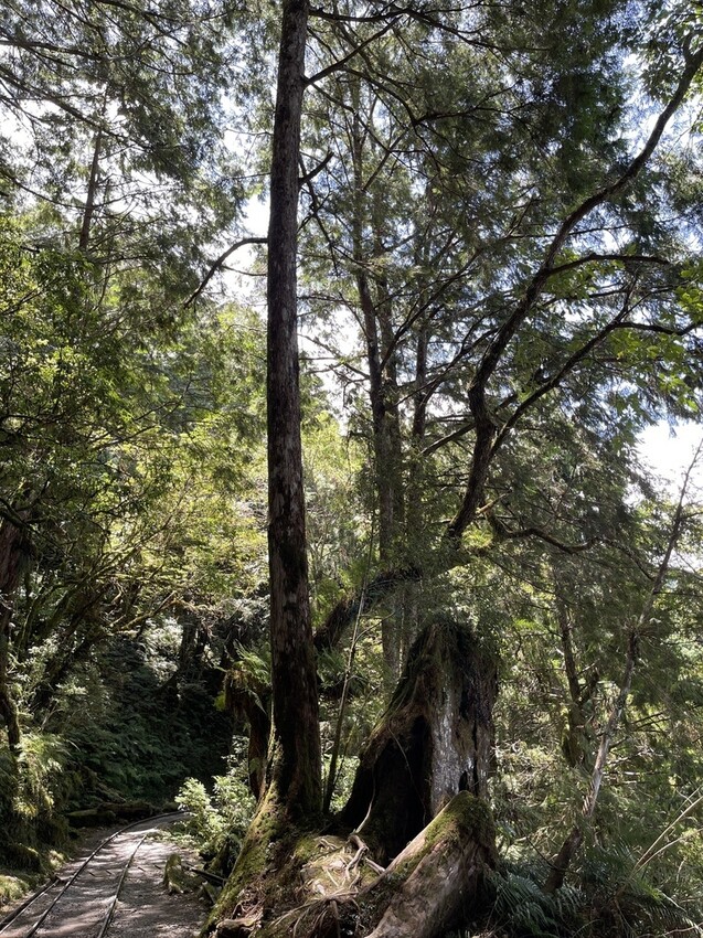 IMG_0673.jpg IMG_0673.jpg