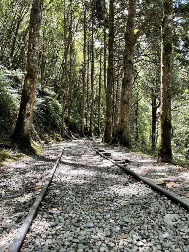 IMG_0663.jpg IMG_0663.jpg