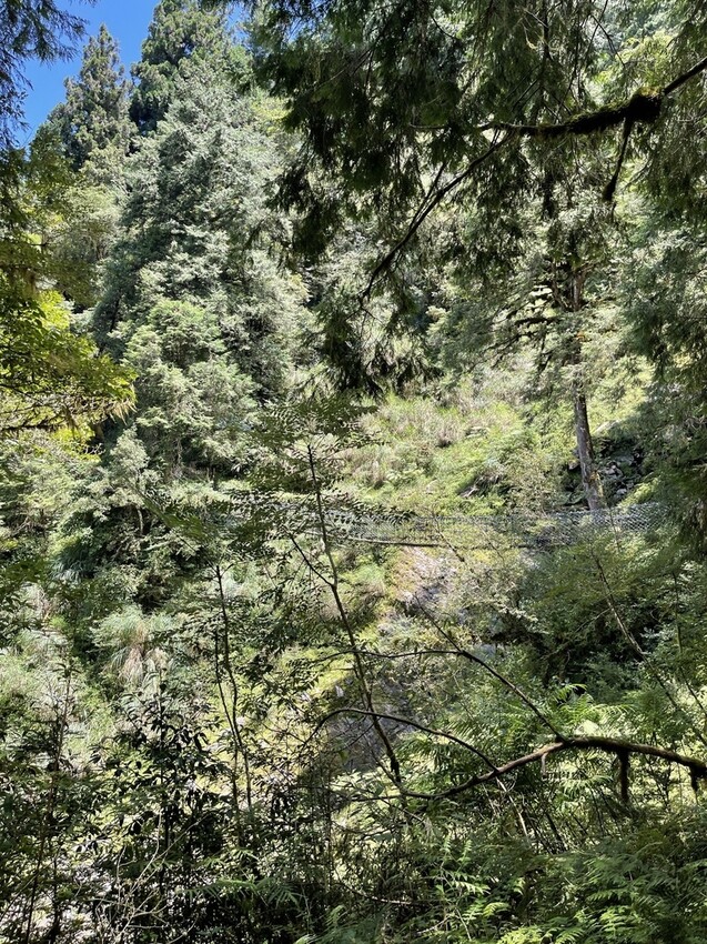 IMG_0760.jpg IMG_0760.jpg