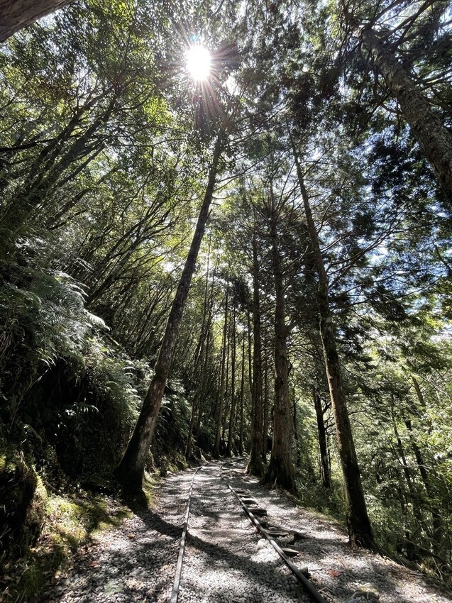 IMG_0666.jpg IMG_0666.jpg