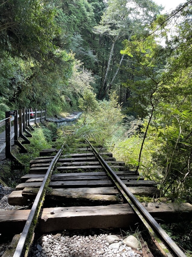 IMG_0692.jpg IMG_0692.jpg