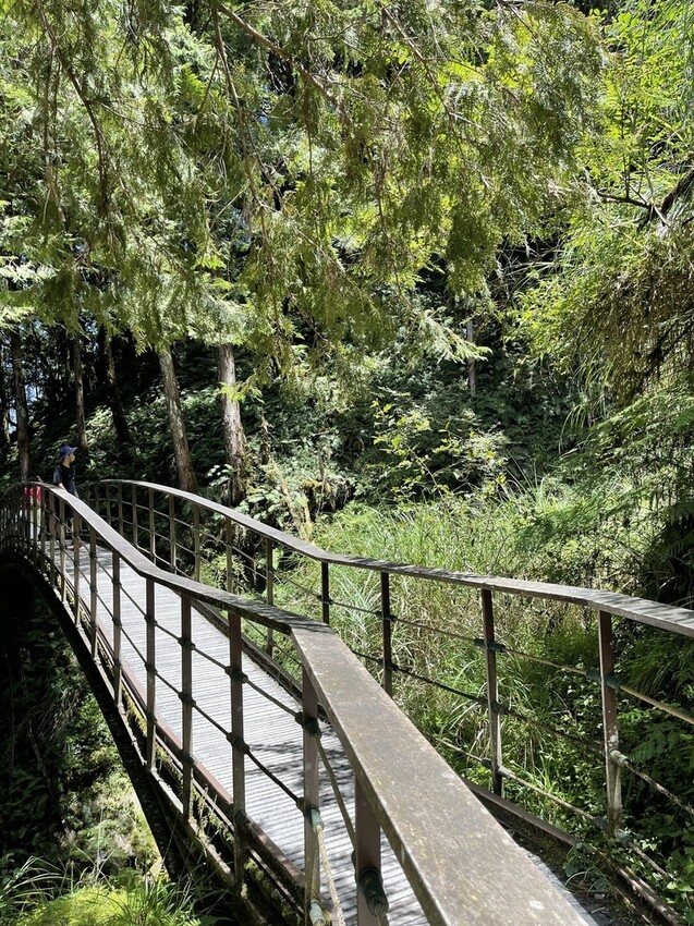 IMG_0722.jpg IMG_0722.jpg