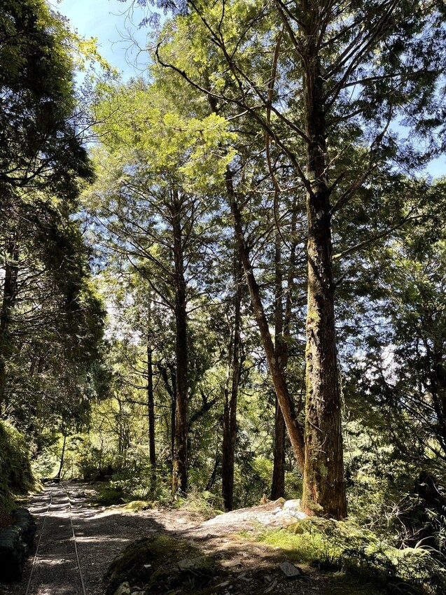 IMG_0676.jpg IMG_0676.jpg