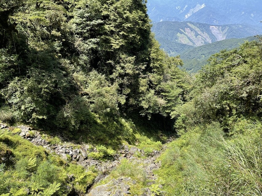 IMG_0736.jpg IMG_0736.jpg