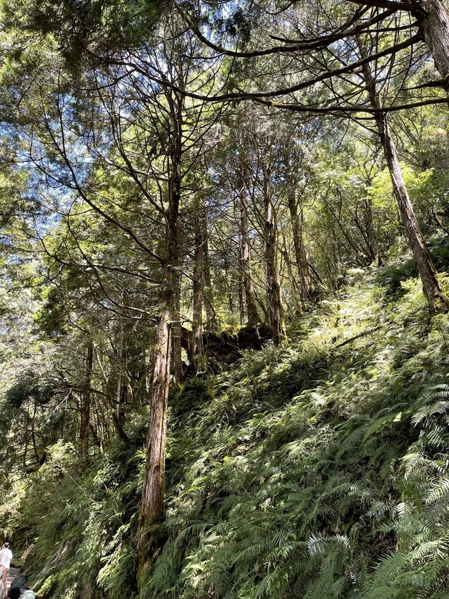 IMG_0789.jpg IMG_0789.jpg