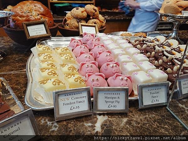 2019約克_210813_77