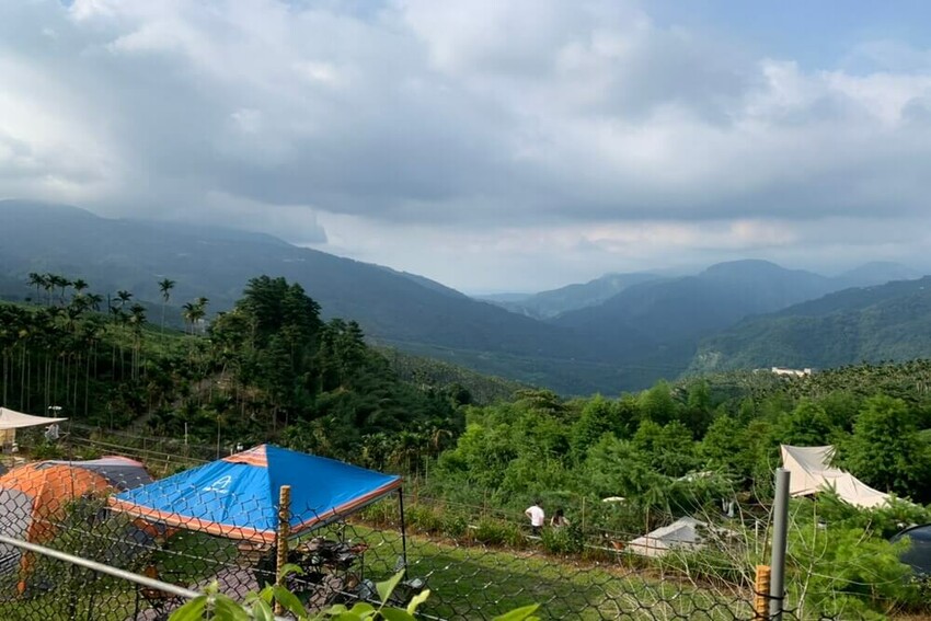 【嘉義梅山】悅日松林 體驗被茶園圍繞│山嵐美景 │露營區│五星級廁所│阿里山