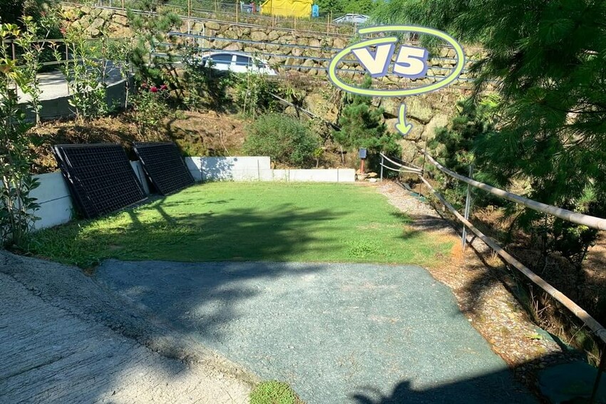 【嘉義梅山】悅日松林 體驗被茶園圍繞│山嵐美景 │露營區│五星級廁所│阿里山