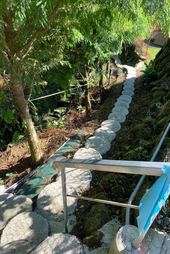 【嘉義梅山】悅日松林 體驗被茶園圍繞│山嵐美景 │露營區│五星級廁所│阿里山