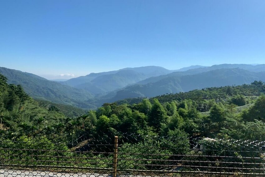 【嘉義梅山】悅日松林 體驗被茶園圍繞│山嵐美景 │露營區│五星級廁所│阿里山