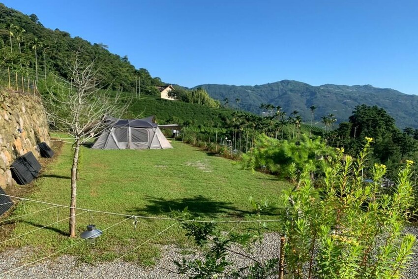 【嘉義梅山】悅日松林 體驗被茶園圍繞│山嵐美景 │露營區│五星級廁所│阿里山