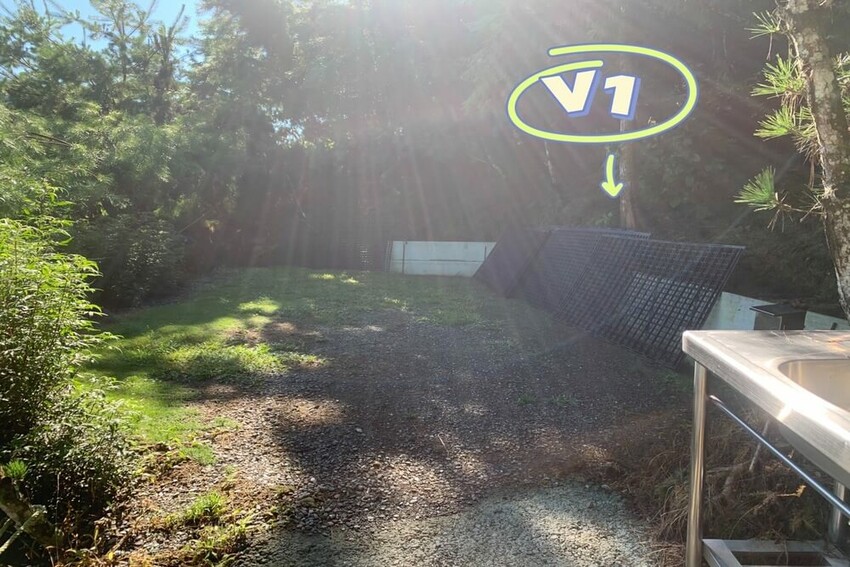 【嘉義梅山】悅日松林 體驗被茶園圍繞│山嵐美景 │露營區│五星級廁所│阿里山