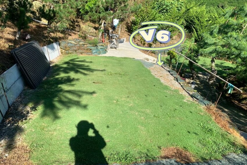 【嘉義梅山】悅日松林 體驗被茶園圍繞│山嵐美景 │露營區│五星級廁所│阿里山