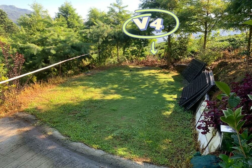 【嘉義梅山】悅日松林 體驗被茶園圍繞│山嵐美景 │露營區│五星級廁所│阿里山