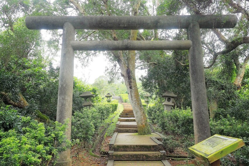 【花蓮兩天一夜行程推薦】花東縱谷路線-森林療育X走入黑熊國