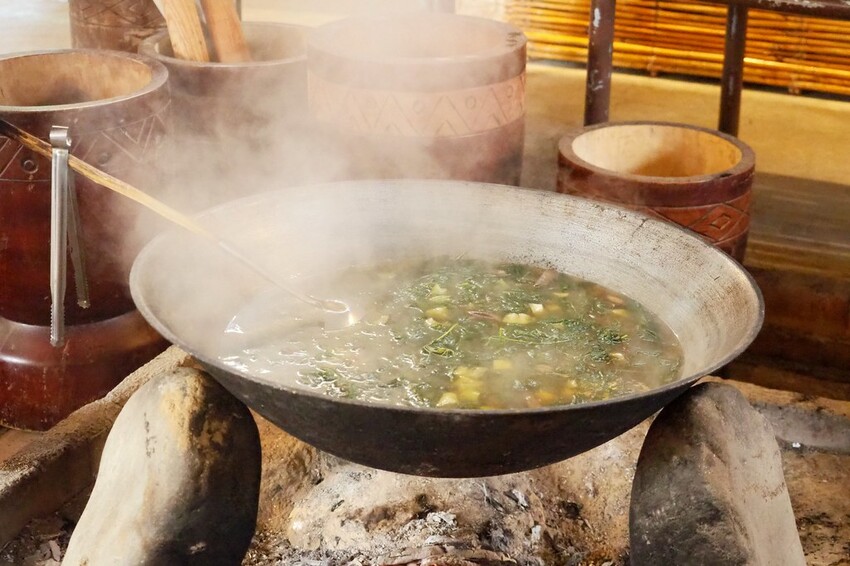 【花蓮兩天一夜行程推薦】花東縱谷路線-森林療育X走入黑熊國