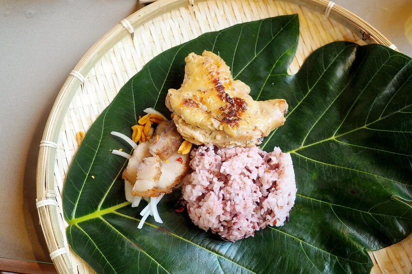 【花蓮兩天一夜行程推薦】花東縱谷路線-森林療育X走入黑熊國