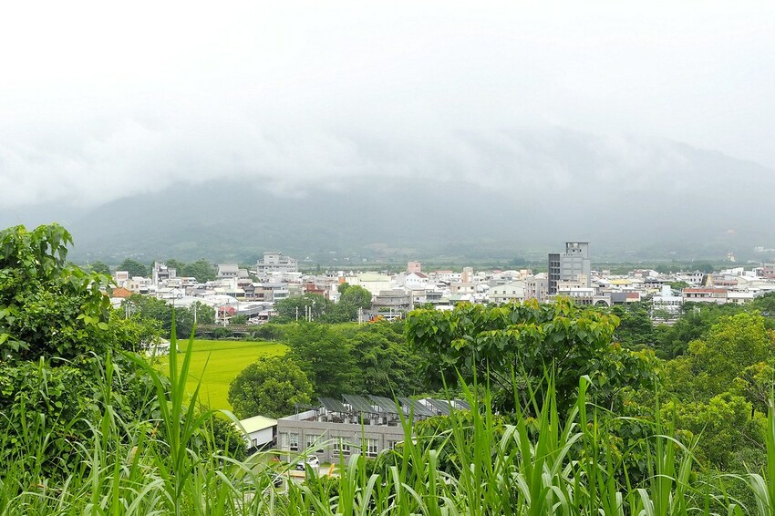 【花蓮兩天一夜行程推薦】花東縱谷路線-森林療育X走入黑熊國
