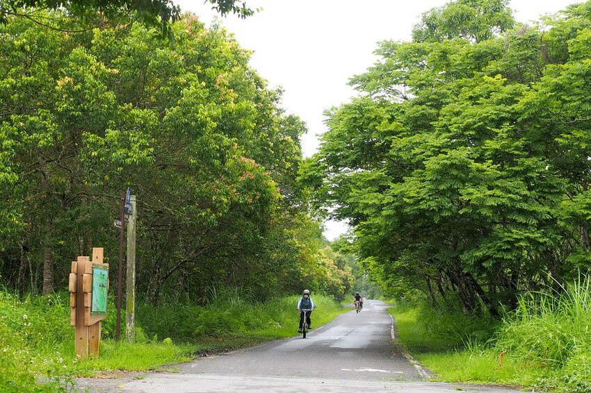 【花蓮兩天一夜行程推薦】花東縱谷路線-森林療育X走入黑熊國