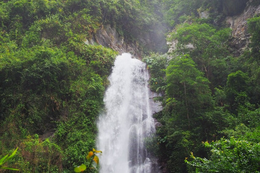 【花蓮兩天一夜行程推薦】花東縱谷路線-森林療育X走入黑熊國