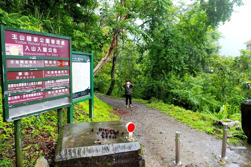 【花蓮兩天一夜行程推薦】花東縱谷路線-森林療育X走入黑熊國