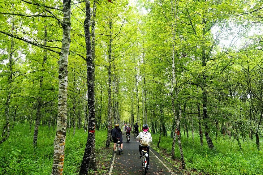 【花蓮兩天一夜行程推薦】花東縱谷路線-森林療育X走入黑熊國