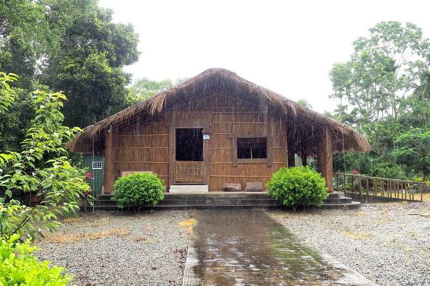 【花蓮兩天一夜行程推薦】花東縱谷路線-森林療育X走入黑熊國