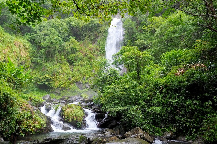 【花蓮兩天一夜行程推薦】花東縱谷路線-森林療育X走入黑熊國