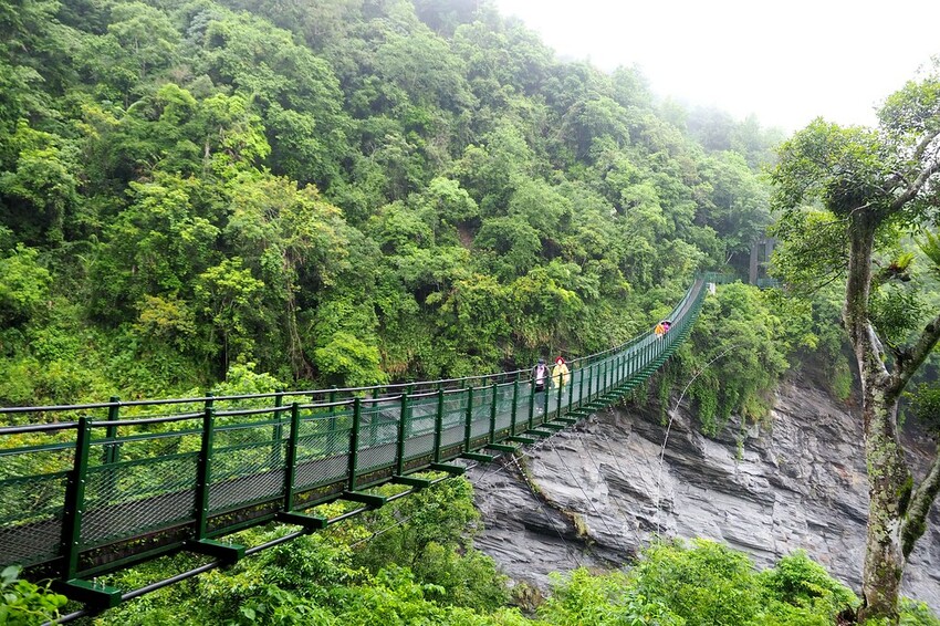 【花蓮兩天一夜行程推薦】花東縱谷路線-森林療育X走入黑熊國