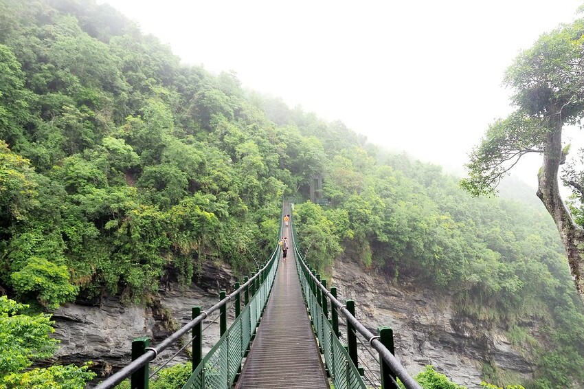 【花蓮兩天一夜行程推薦】花東縱谷路線-森林療育X走入黑熊國