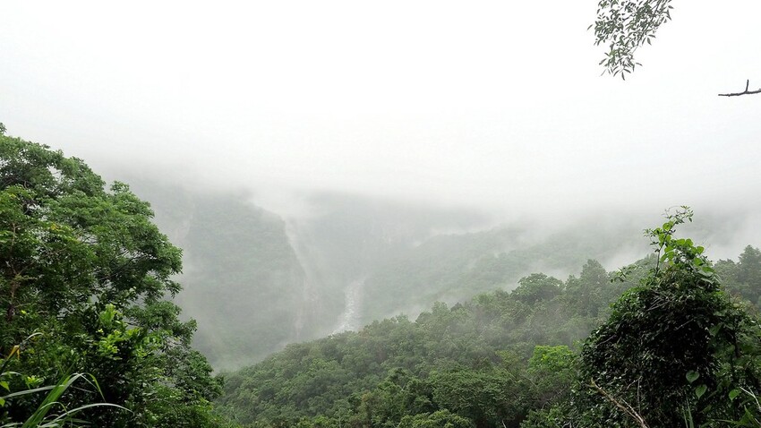 【花蓮兩天一夜行程推薦】花東縱谷路線-森林療育X走入黑熊國