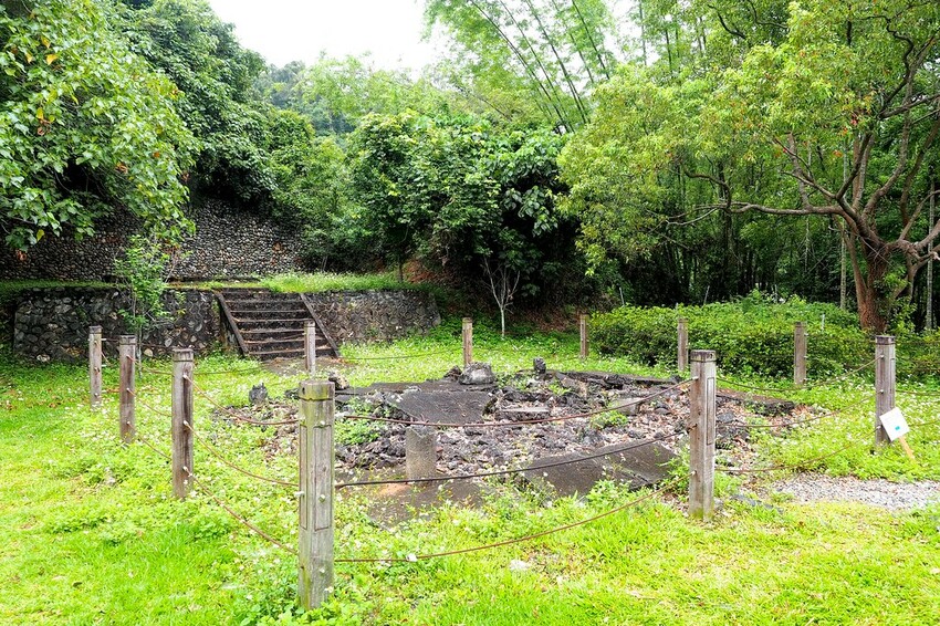 【花蓮兩天一夜行程推薦】花東縱谷路線-森林療育X走入黑熊國