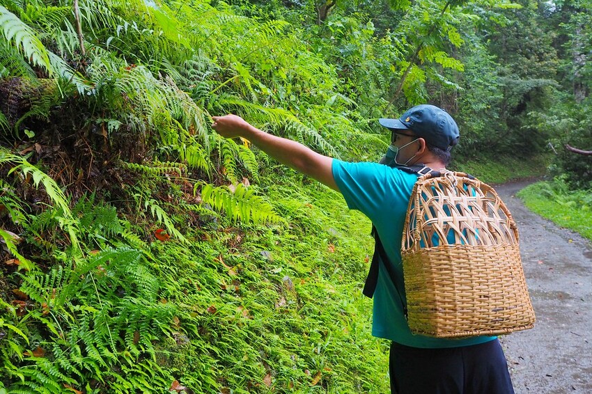【花蓮兩天一夜行程推薦】花東縱谷路線-森林療育X走入黑熊國