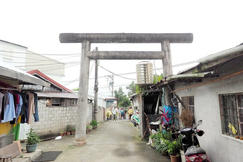 【花蓮兩天一夜行程推薦】花東縱谷路線-森林療育X走入黑熊國